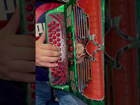 También me llamo Ismael - Acordeon (enigma norteño ft legión rg) #acordeon #corridos