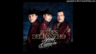 Los Plebes del Rancho - El Rey De Las Brechas (Estudio 2016)
