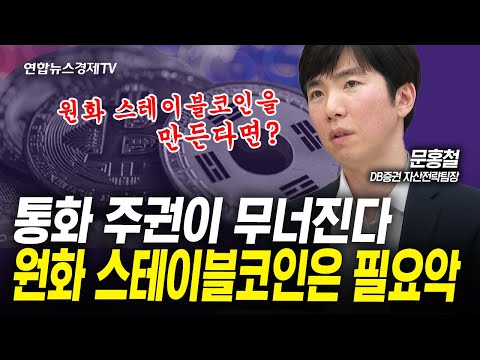 원화 스테이블코인은 필요악이다. (문홍철) | 인포맥스라이브 20250529