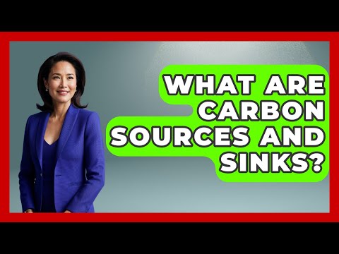 What Are Carbon Sources And Sinks? - The Geography Atlas