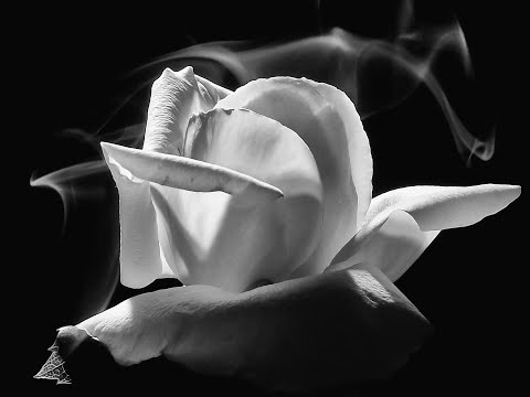 16 :  Smoky Places -  The Corsairs