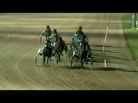 2017.11.25. 8. futam - RÁDZSA HENDIKEP