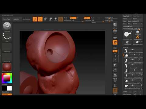 ARM WITH SHOULDER AND ELBOW JOINTS