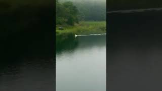 preview picture of video 'Lake Göygöl _ Ganja . بحيرة قنجا اذربيجان'