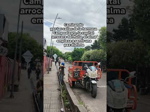 Caminando por las calles de la hermosa Campoalegre, la capital arrocera del Huila,