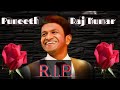 Puneeth Raj Kumar R I P Status October 29 2021 Short