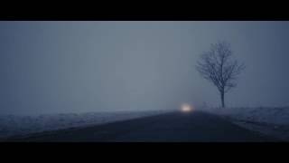 Burning down alaska-blossom