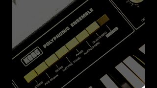 Video thumbnail for Korg PE1000 by No Nag