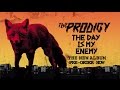 The Prodigy - The Day Is My Enemy (The New ...