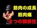 【筋トレ】筋肉痛が来なければ筋肉は成長しない?筋肉痛と筋肉の成長の因果関係とは