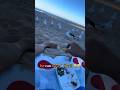 Funny Seagull Seagull Pizza Stevenseagulls Seagull Pets Birdsoftiktok Cutepets Gull Seagull