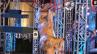 Tyrannosaurus Rex Hilariously Competes in American Ninja Warrior