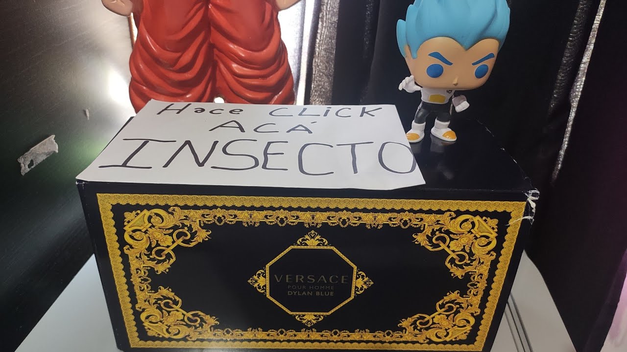 UNBOXING CAJA VERSACE DYLAN BLUE