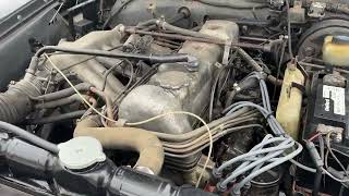 1967 Mercedes-Benz 250 SE Coupe Cold Start