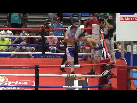 Giezy Corea vs Wilmer Guzman - Bufalo Boxing Promotions / Probellum