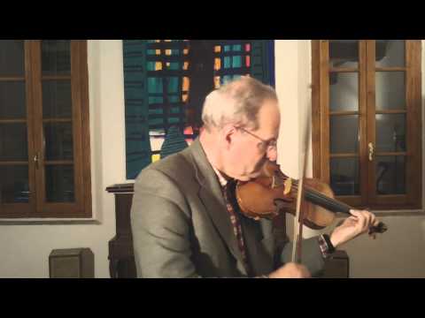 Wim Janssen - Violino modello Stradivari 