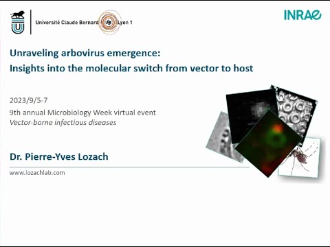 Unraveling Arbovirus Emergence: Insights into the Molecular Switch from Vector to Host
