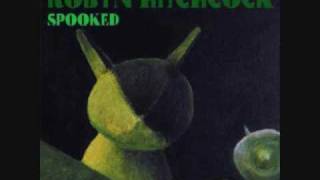 Robyn Hitchcock - Spooked - 02 - If You Know Time