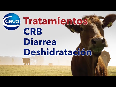 , title : 'Tratamientos para el CRB, diarrea y deshidratación'