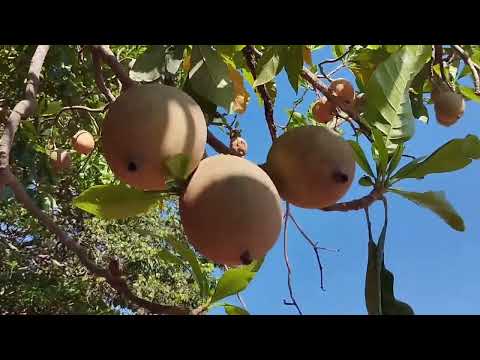 Explorando o Braço do Rio Grande em Mira Estrela Sp