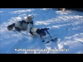 dog wheelchair ski attachment