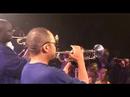 HOT 8 BRASS BAND - Sexual Healing - Live!