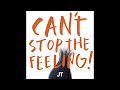 Justin Timberlake CAN T STOP THE FEELING HQ Audio