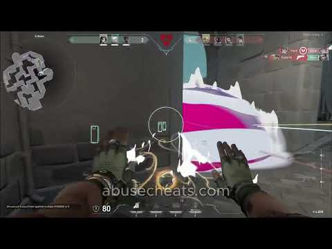 UNDETECTED VALORANT AIMBOT Showcase 😱