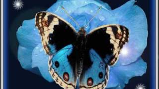 Chris Norman wings of love