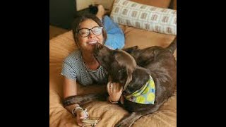 Famous Actress's Dog Stuck At Wagmor