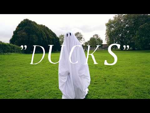 Ducks - Toodles & The Hectic Pity