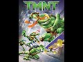 Opening To TMNT 2007 DVD Side B