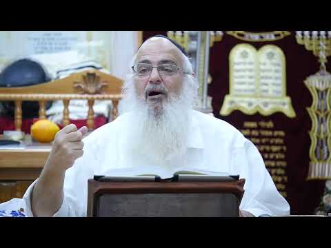 הרב שלמה לוינשטיין בחידושים מדהימים על פרשת פנחס - תשפו