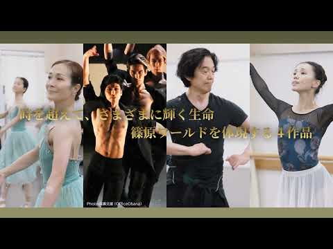 DANCE for Life 2023 篠原聖一 バレエ・リサイタル trailer