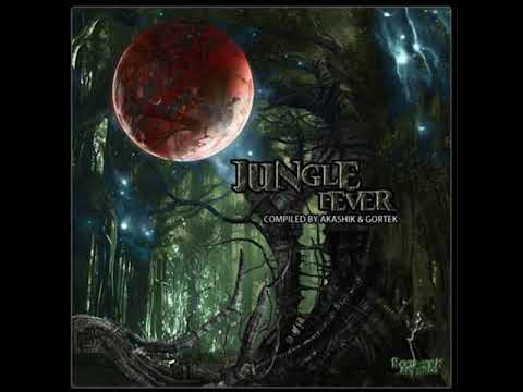 04 Akashik - Artificial Intelligence