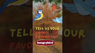 Download lagu Seruan untuk Semua Pecinta Burung 🫵🐦 #birders #birdlover #birds #birdoftheday mp3