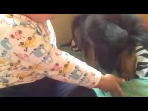 The Dog luky and My son Abhigyan 20/03/2020