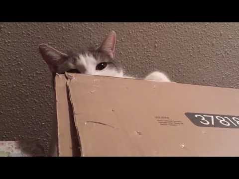 Luana don`t like come down