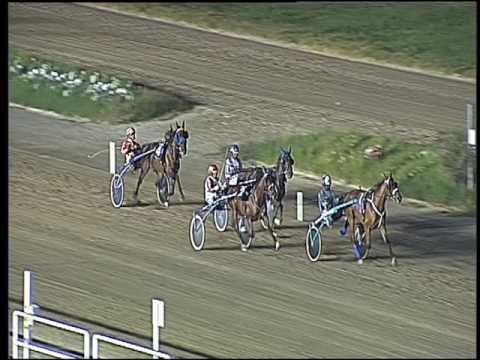 Trotto 23/07/2016 - 3° prova di qualifica