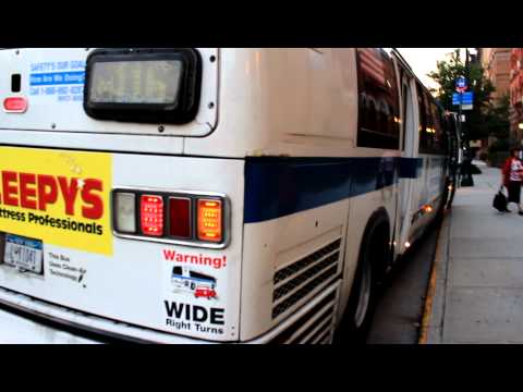 M116 Bus