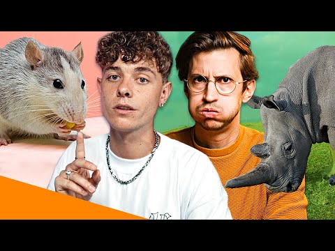 Artenschutz ist KEIN Tierschutz (und wir müssen dringend darüber reden)