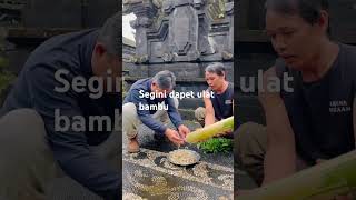 Download lagu Saat'kita mujur dapet banyak #pemburuhartakarun #viral mp3