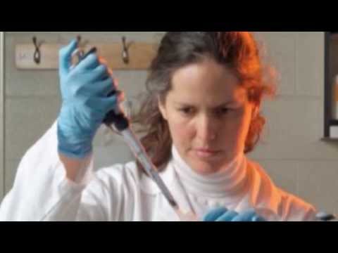 Choices by Maria Nino-Soto