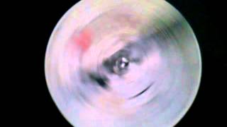 stefano secchi i say yeah(flute on mix)