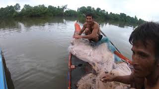 preview picture of video 'Mouthbrooding fish fishing  - Catfish  - Should Not Allowed in Breeding Season'