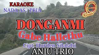 Download lagu KARAOKE DONGANMI GABE HALLETHU NADA COWOK mp3 Download lagu KARAOKE DONGANMI GABE HALLETHU NADA COWOK mp3