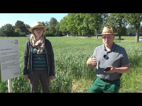 Pflanzenbau Aktuell - Feldtage digital