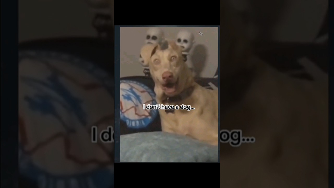 SkinWalker Disguised As Animals 😫 PRT-07 #viral #ytshorts #skinwalker #youtube