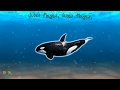Sea Animal Finger Family Nursery Rhyme Whale Orca Killer Whale Dolphin Fish Octopus Daddy Finger