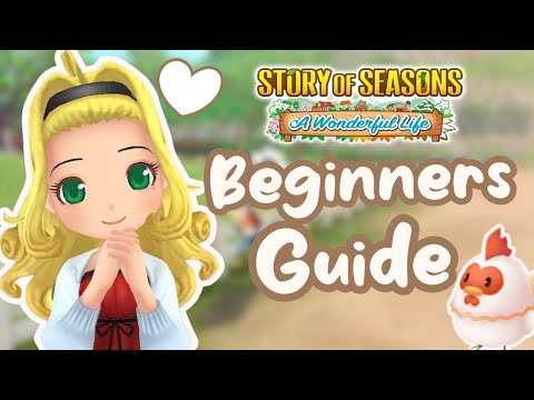 Beginners Guide for Story of Seasons A Wonderful Life | Early Game Tips